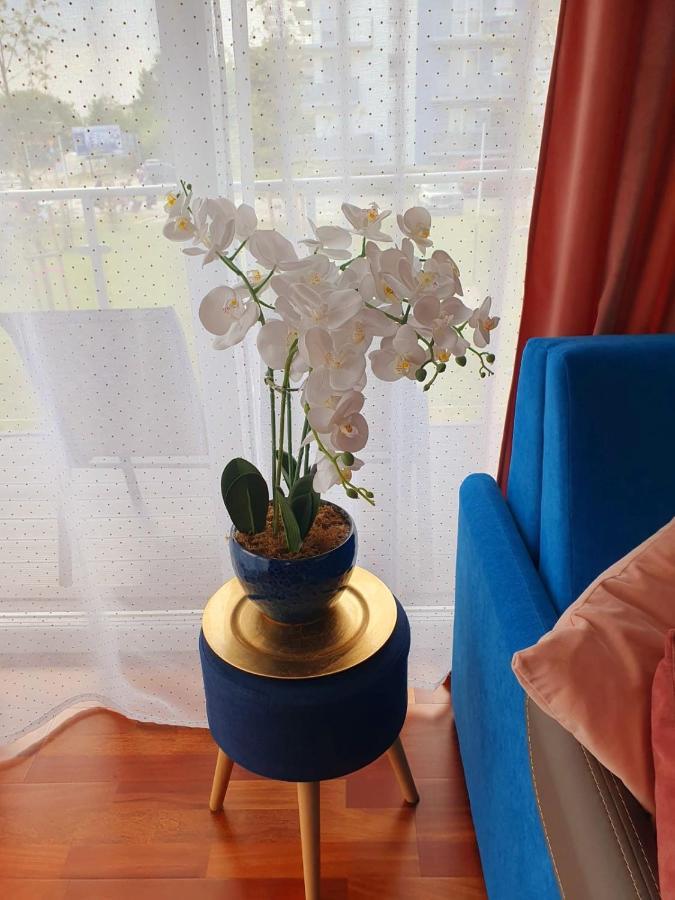 Apartament Comfort I 코워브제크 외부 사진
